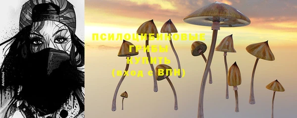 a pvp Магас