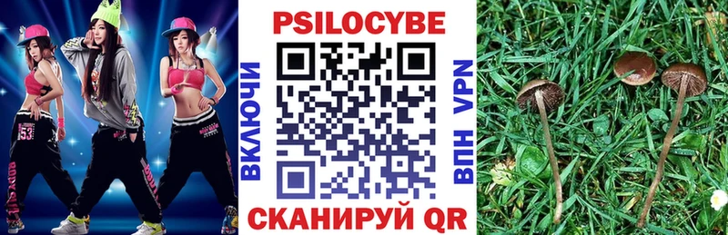 Купить закладки  Апшеронск  Псилоцибиновые грибы GOLDEN TEACHER 